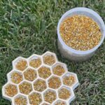 Premium Oregon Bee Pollen – Raw, Hand-Harvested, 8oz Jar