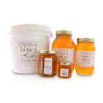 RARE! Mt St Helens Honey LIMITED